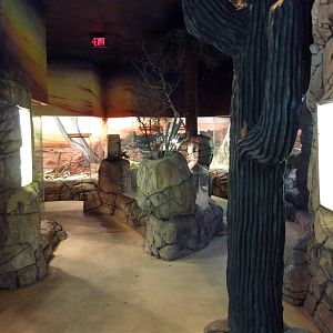 Herpetarium - Desert Dwellers
