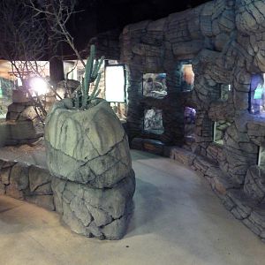 Herpetarium - Desert Dwellers