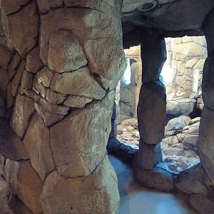 Herpetarium - Desert Dwellers