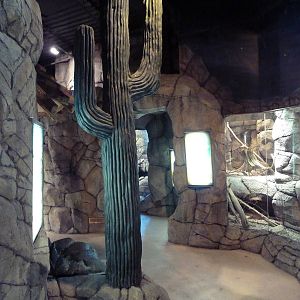 Herpetarium - Desert Dwellers