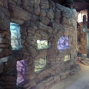 Herpetarium - Desert Dwellers