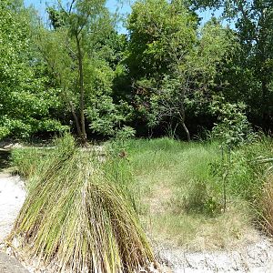 Flamingo/Open-Billed Stork/Spoonbill/Sacred Ibis Exhibit