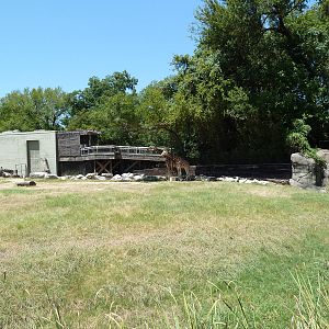 Giraffe/Gerenuk/Kudu/Marabou Stork/Crowned Crane Exhibit