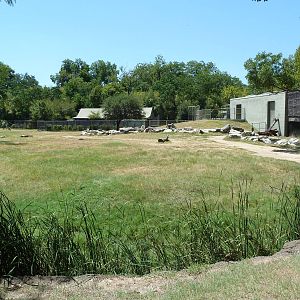 Giraffe/Gerenuk/Kudu/Marabou Stork/Crowned Crane Exhibit
