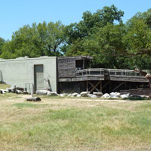 Giraffe/Gerenuk/Kudu/Marabou Stork/Crowned Crane Exhibit