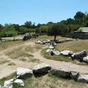 Giraffe/Gerenuk/Kudu/Marabou Stork/Crowned Crane Exhibit