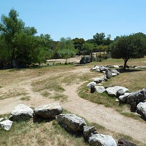 Giraffe/Gerenuk/Kudu/Marabou Stork/Crowned Crane Exhibit