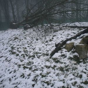 Lynx Enclosure section1-27/12/10