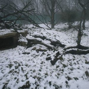 Lynx enclosure section2-27/12/10