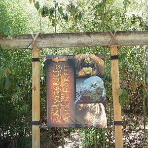 Asian Forest - Entrance Sign