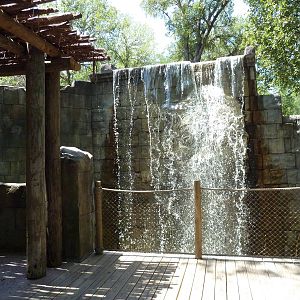 Asian Forest - Waterfall