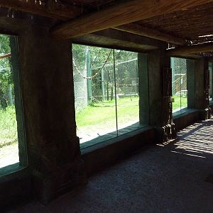 Asian Forest - Bornean Orangutan Exhibit