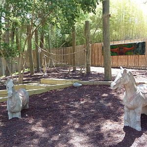 Asian Forest - Bornean Orangutan Exhibit - Children's Playground