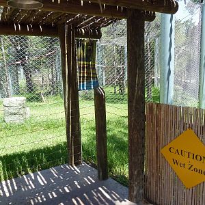 Asian Forest - Bornean Orangutan Exhibit - Splash Zone!