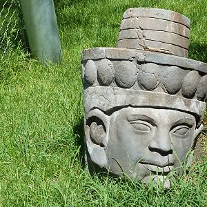 Asian Forest - Statue