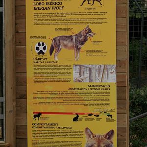 Zoo Barcelona - Iberian wolf info panel