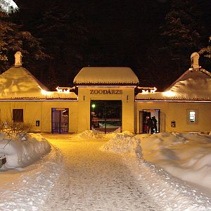 Winter Night / Riga Zoo Entrance / Zoo Gate