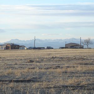 Prairie Dogs and homes surrounding the center