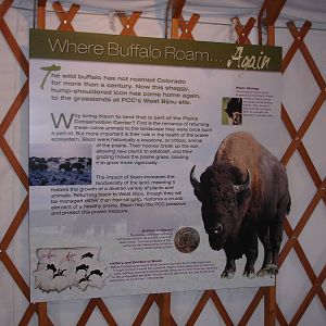 Sample graphic in yurt