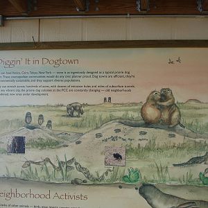 Prairie Dog graphic