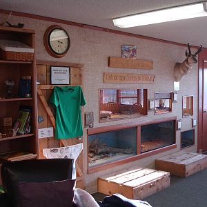 Displays/Shop/Reptiles - main building