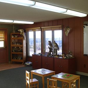 Displays - main building