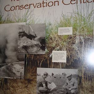 Displays - main building