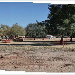 elephant construction - January 8, 2011