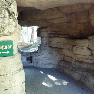 Jaguar Exhibit - Viewing Cave