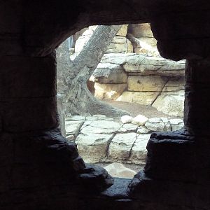 Jaguar Exhibit - Viewing Cave