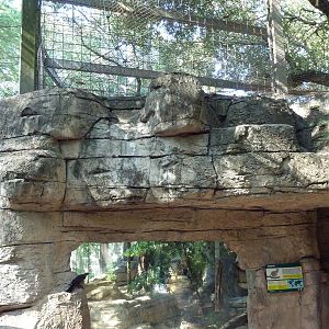 Jaguar Exhibit