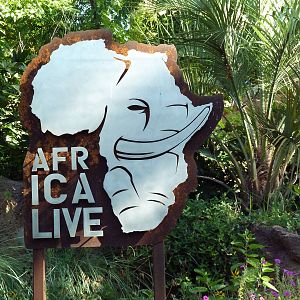Africa Live - Sign