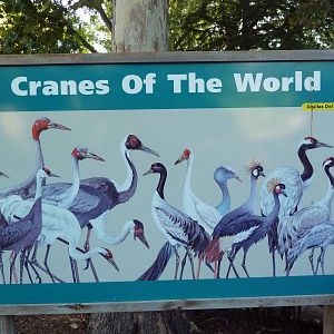 Cranes Of The World - Sign