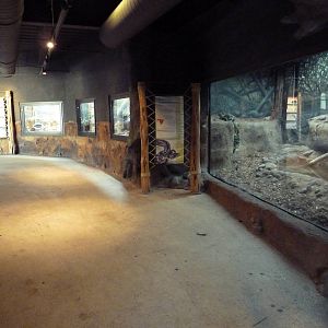 Africa Live - Assorted Exhibits