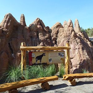 Africa Live - Termite Mound