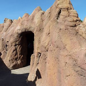 Africa Live - Termite Mound