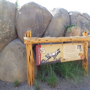 Africa Live - African Wild Dog Exhibit Sign