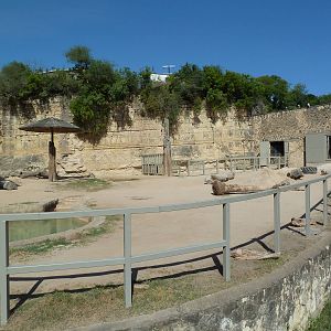 Asian Elephant Exhibit