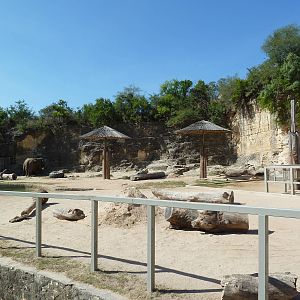 Asian Elephant Exhibit