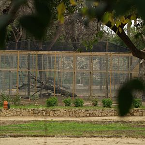 Zoo Barcelona - Lammergeier aviary