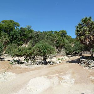 Topi/Ostrich/Marabou Stork Exhibit