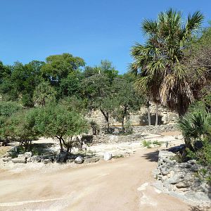 Topi/Ostrich/Marabou Stork Exhibit