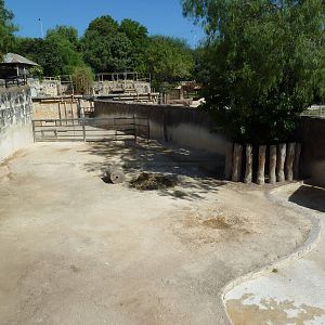 Black Rhino Exhibit