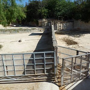 Black Rhino Exhibits