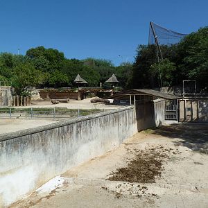 Black + White Rhino Exhibits