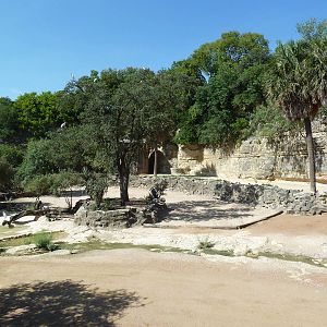 Topi/Ostrich/Marabou Stork Exhibit