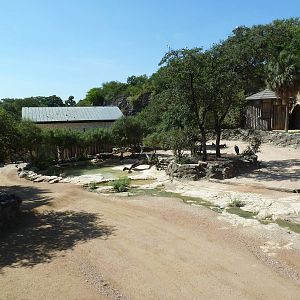 Topi/Ostrich/Marabou Stork Exhibit