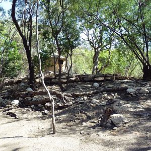 African Rift Valley - Walk-Through Aviary
