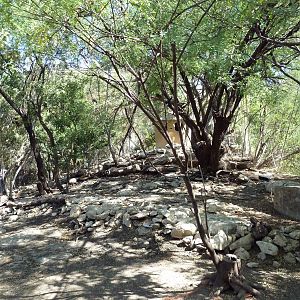 African Rift Valley - Walk-Through Aviary