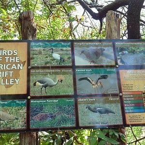 African Rift Valley - Walk-Through Aviary Signage